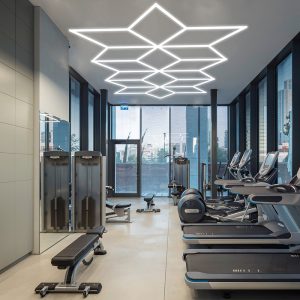 detailing LED snowflake light