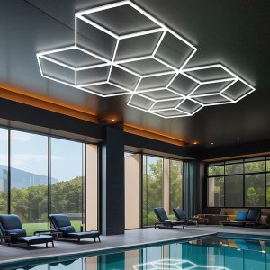 double heart shape ceiling light for ceiling