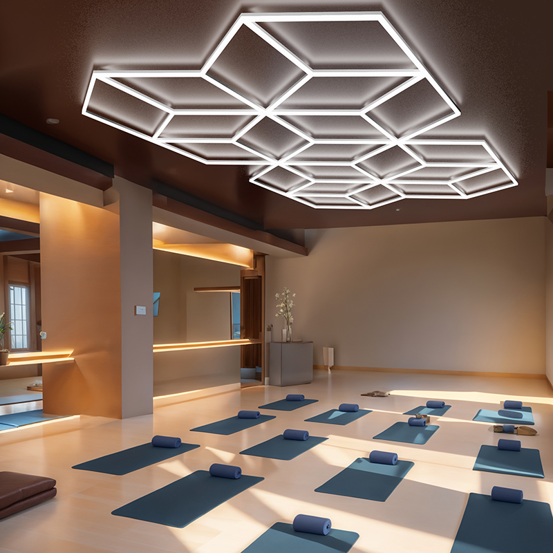 double heart shape ceiling light