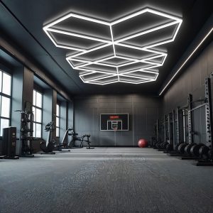 garage ceiling geometric LED light for ceiling