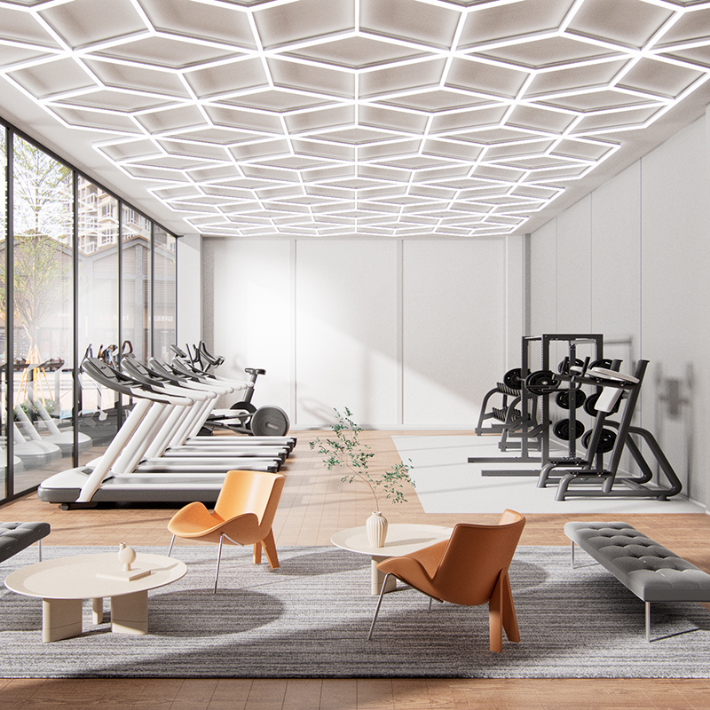 indoor double heart shape ceiling light