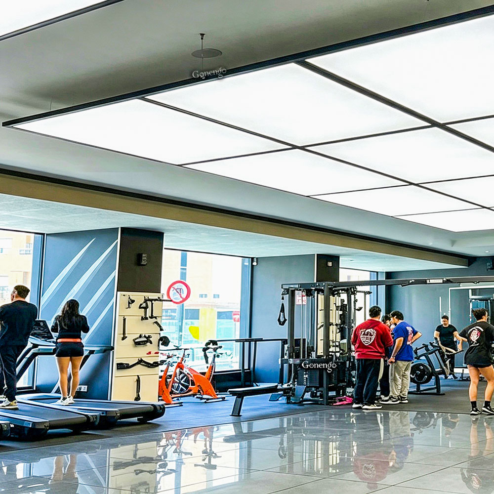 panel-lights-for-gym-ceiling