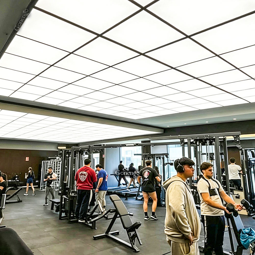 light-panels-for-gym-ceiling