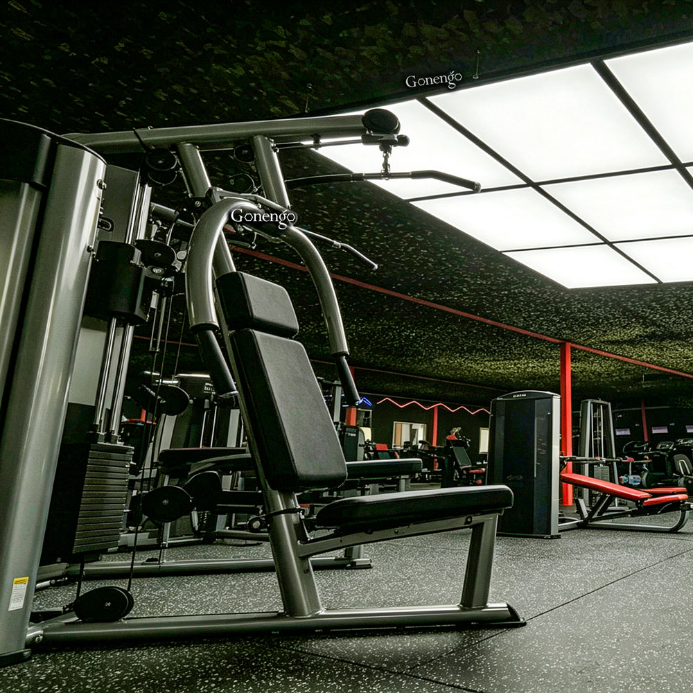 light-panels-for-gym-ceiling