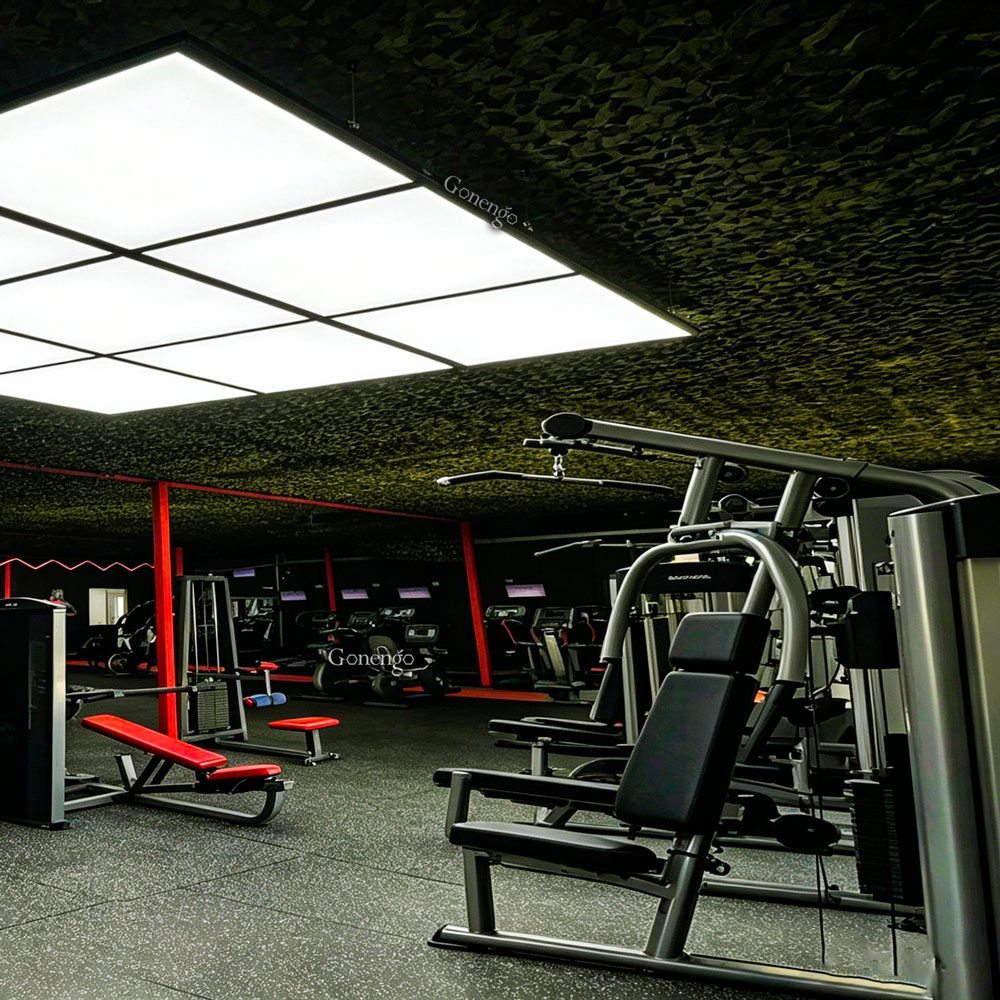 light-panels-for-gym-detailing
