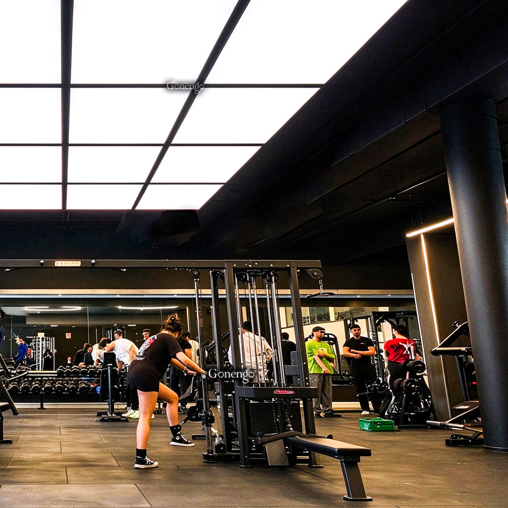 light-panels-for-gym-ceiling